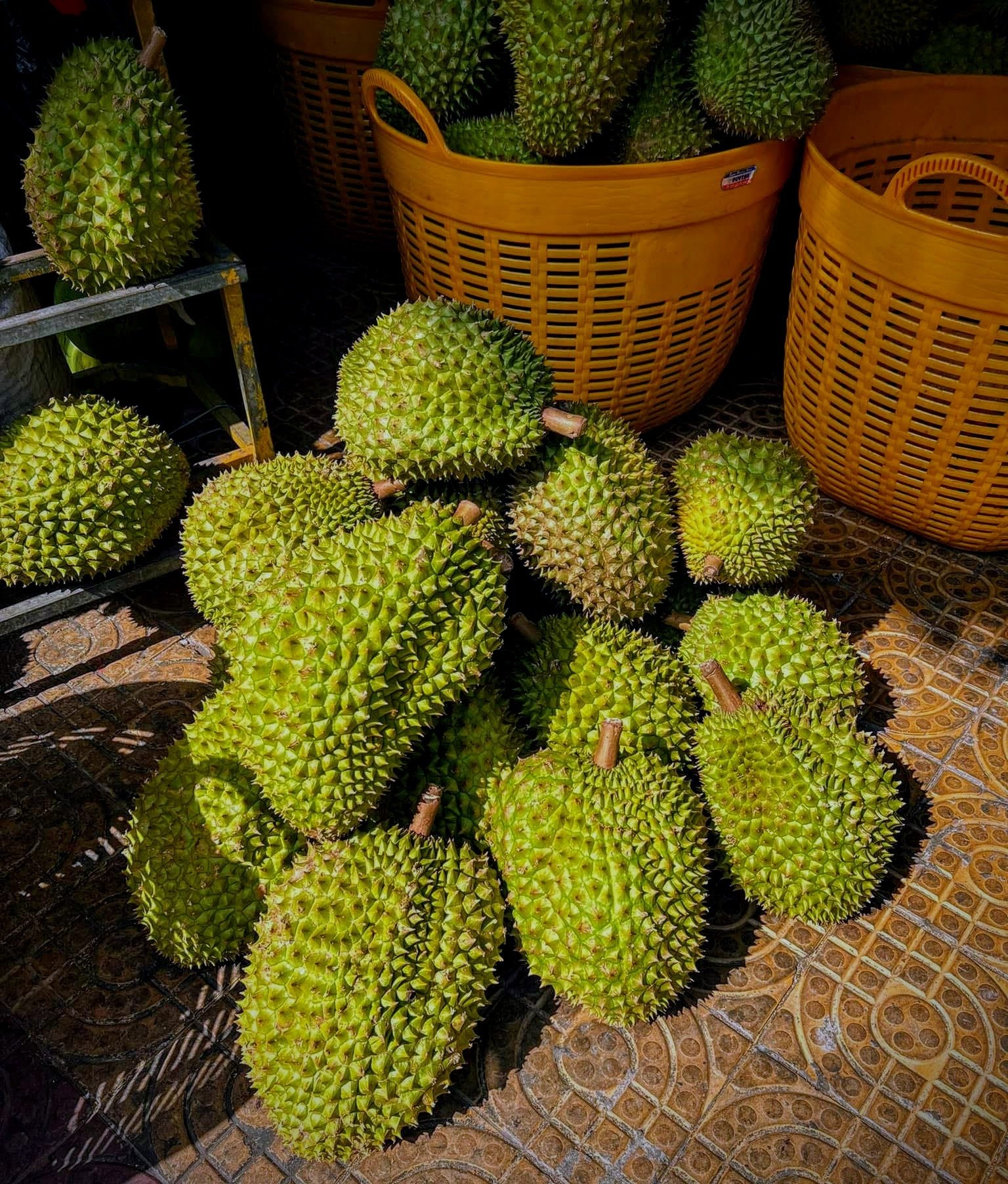 Ri6 Durian- Soc Trang- Mekong Delta-Vietnam